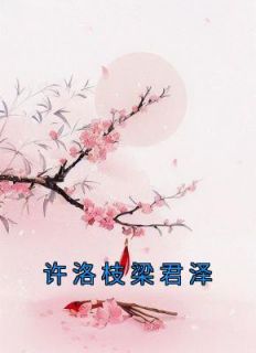 许洛枝梁君泽