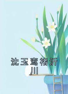 沈玉鸾褚沂川