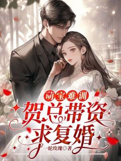 萌宝难训：贺总带资求复婚