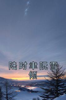 陆时聿阮雪倾