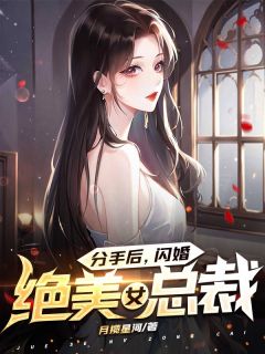 分手后，闪婚绝美女总裁