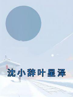 沈小辞叶星泽