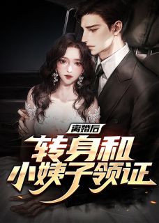 离婚后转身和小姨子领证