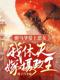 驸马爷爱上恶女，我休夫嫁摄政王