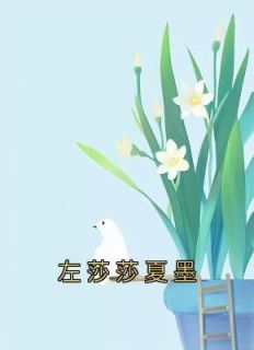 左莎莎夏墨