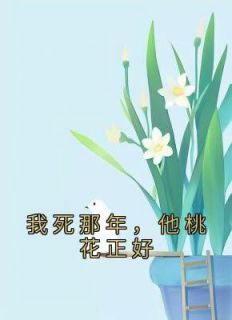 我死那年，他桃花正好