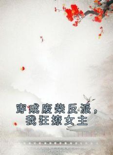 穿成废柴反派，我狂撩女主