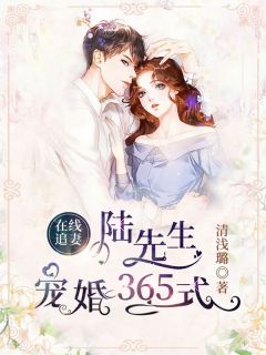 在线追妻：陆先生宠婚365式